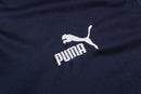Conjunto Inverno Manchester City Azul Puma - Com Capuz